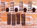 Sport Springs